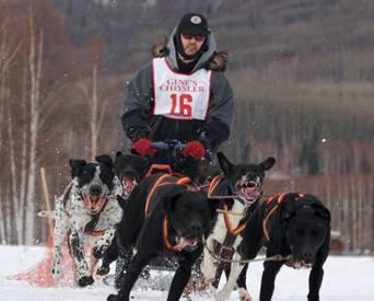 Rob Downey in Dog Sled Race