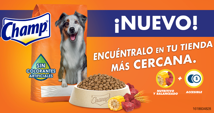 Champ-dog-food-Mexico.png
