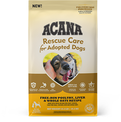 Champion-Petfoods-ACANA-rescue-care-for-adopted-dogs.png