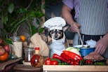 dog-in-chef-hat-cooking-human-food-in-kitchen-with-man.jpg