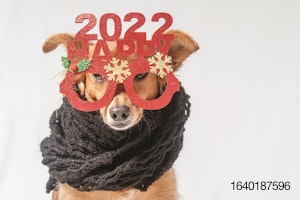 happy-new-year-dog.jpg