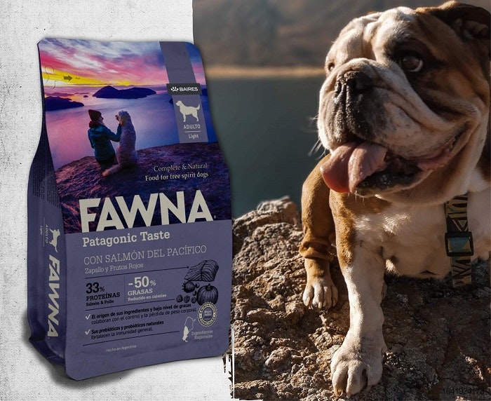 Fawna-dog-food-Patagonia.jpg