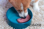 dog-raw-food.jpg