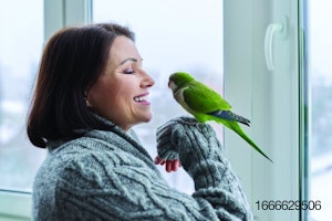 Pet-bird-with-owner.jpg