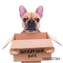 Pet-philanthropy-volunteer-charity.jpg
