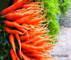 carrots-beta-carotene.jpg