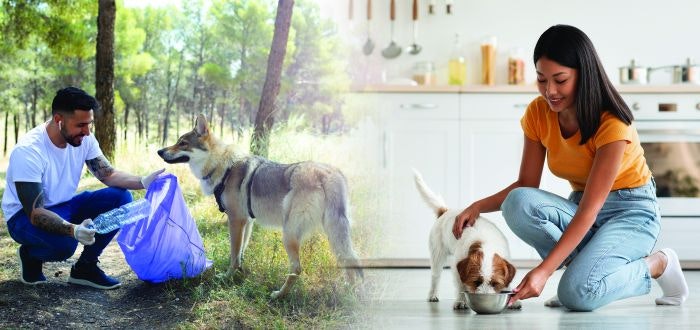 2023 pet food trends: Sustainability, nutrition on top