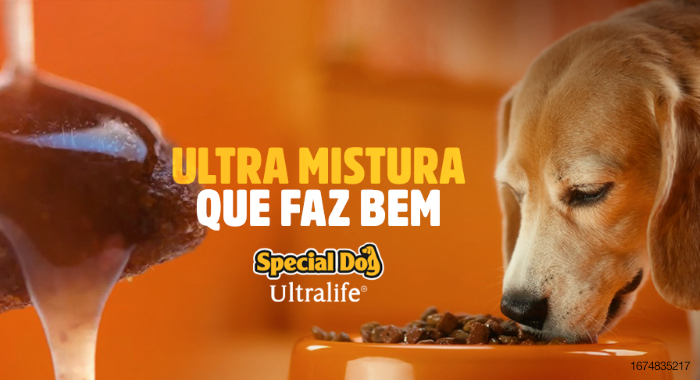 Special-Dog-Brazil.png