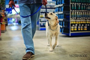 shopping-with-dog-in-store.jpg