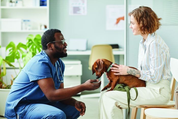 More veterinary challenges: One expert’s take on a complex pet product landscape