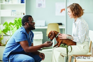 Veterinarian-examining-pet-with-owner.jpg