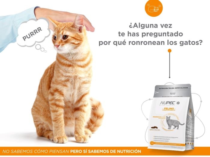 Grupo Nupec launches premium pet food products