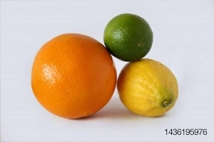 citrus pulp