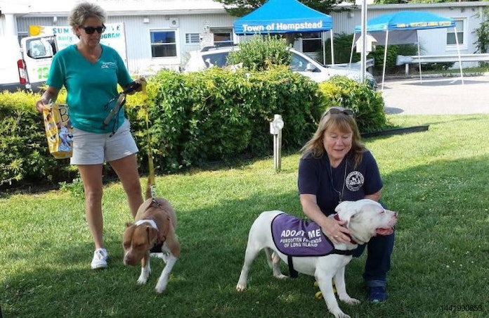 Mars Petcare kicks off pet-friendly communities initiative |  