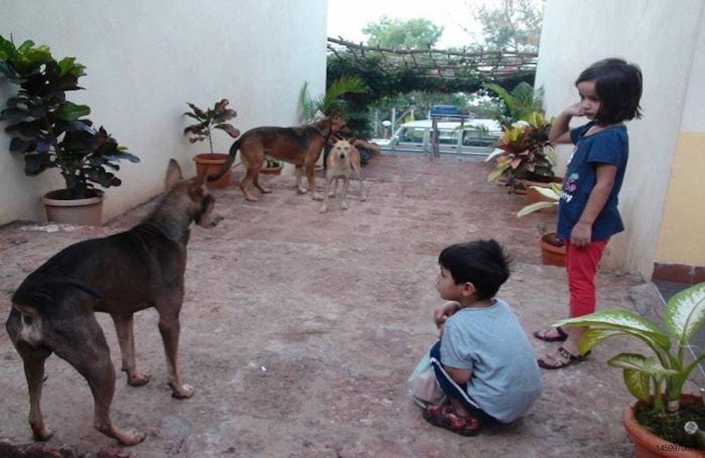 dogs-kids-india.jpg
