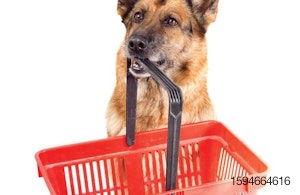 Consumer-pet-food-trends-1604PETconsumer.jpg
