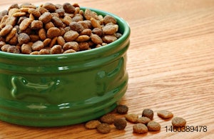 dog-food-in-bowl
