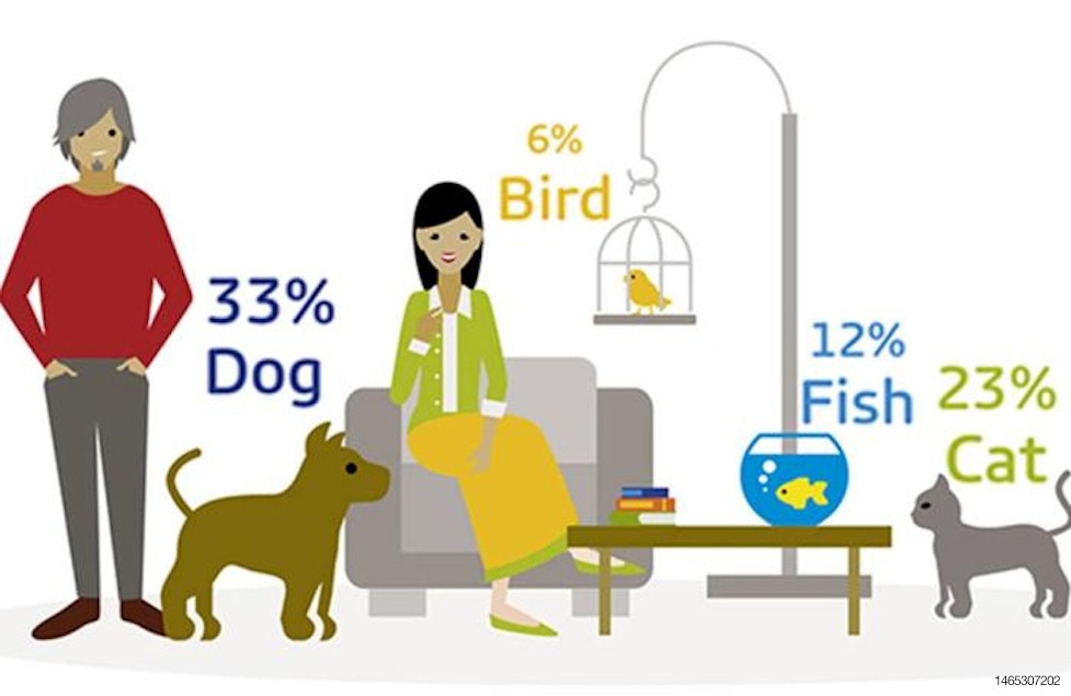 INFOGRAPHIC: Most of world owns pets; Dogs are tops 