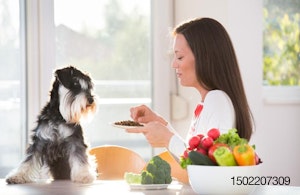 woman-feeding-dog-in-kitchen