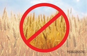Grain-free-no-wheat