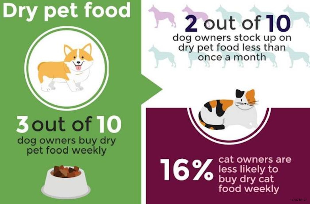 Cat, dog food purchasing statistics revealed_MAIN ARTICLE IMAGE