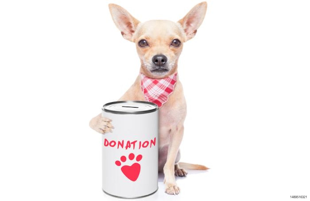 dog-donation-charity