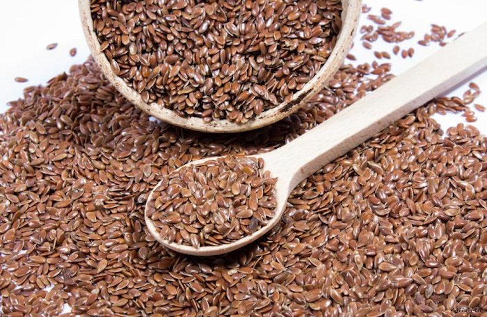 Flaxseed may be weight-loss dog food functional ingredient ...