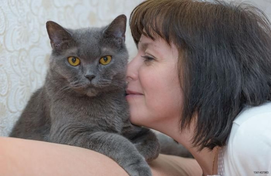 woman-with-gray-cat