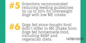 6_factors_in_formulation_specialized_dog_food_MAIN_ARTICLE_IMAGE.v2