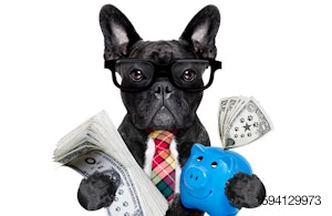 Dog-Money