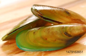 Green-Lip-Mussels