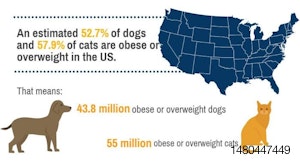 Top_5_obesity-related_diseases_in_cats_and_dogs_MAIN_ARTICLE_IMAGE