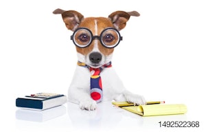 dog-accountant