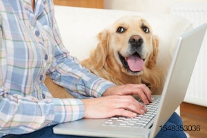 dog-with-owner-on-computer