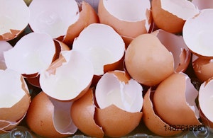 egg-shells