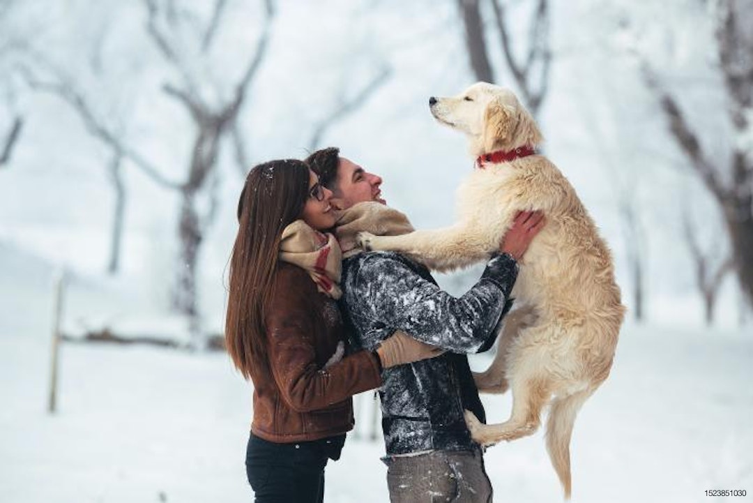 young-couple-holding-dog-outside