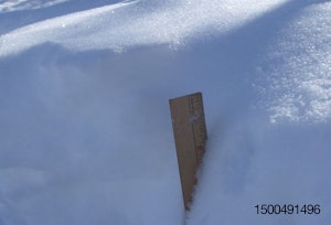 2011-snowstorm-Simmons.jpg