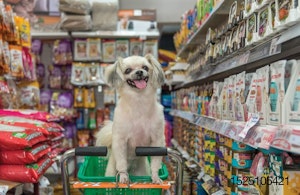 Dog-shopping-for-food