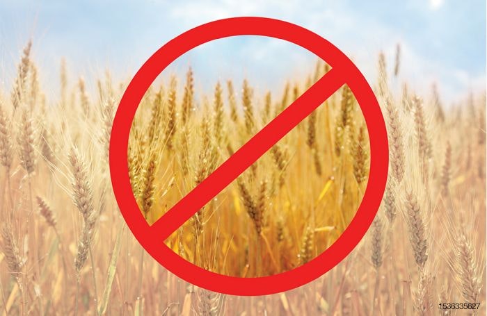 Grain-free-no-wheat