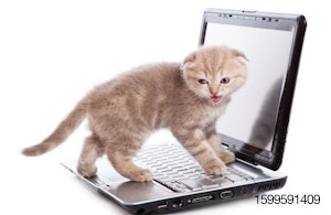 cute-kitten-on-computer