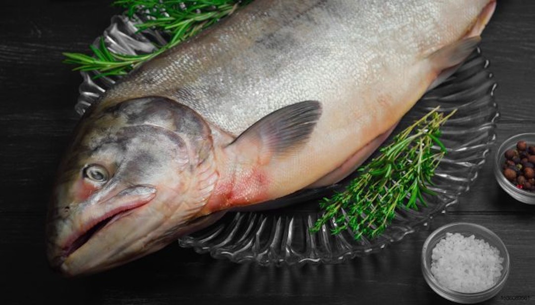 salmon-ingredient-fish.jpg