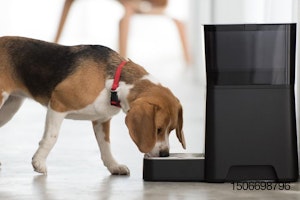 Petnet-dog-beagle-feeder.jpg