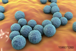Enterococcus-faecium-bacteria-probiotic.jpg