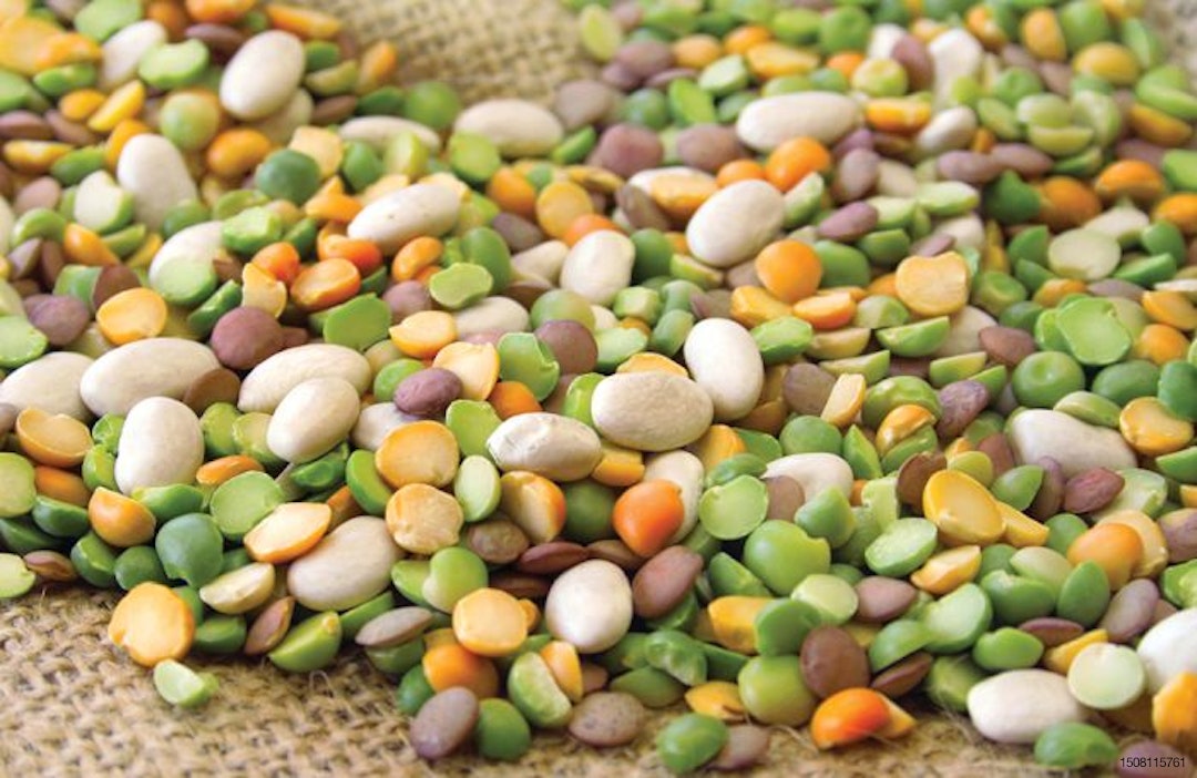 Pet-food-beans-ingredient