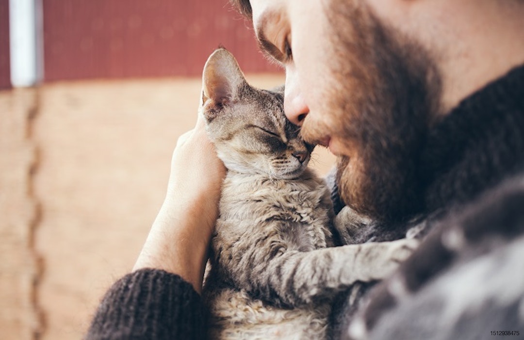 bearded-man-with-cat