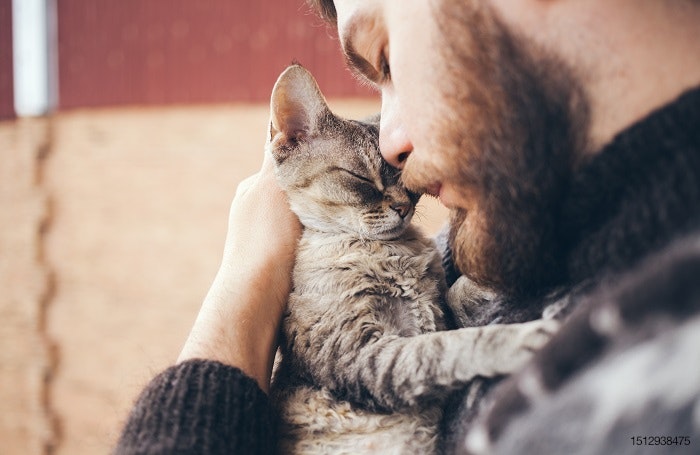 bearded-man-with-cat