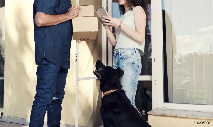 dog-package-delivery-mail-208751065.jpg