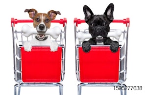 dogs-in-shopping-carts