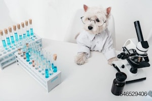 dog-scientist-lab-microscope-laboratory-213926347.jpg