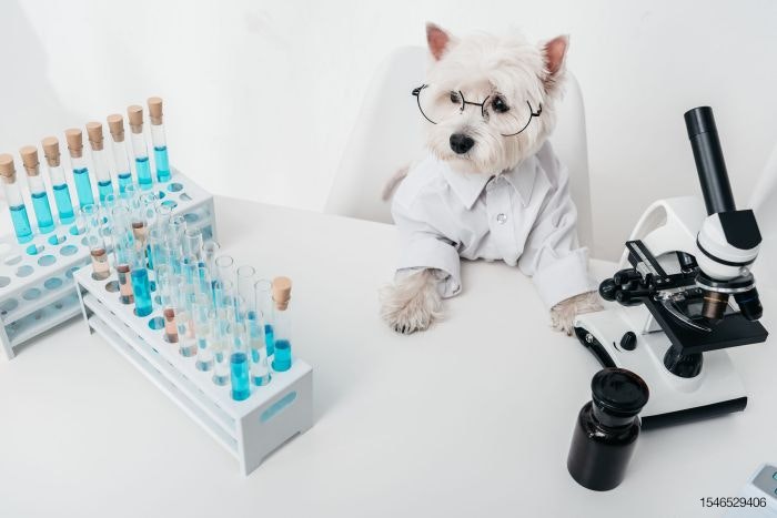 dog-scientist-lab-microscope-laboratory-213926347.jpg